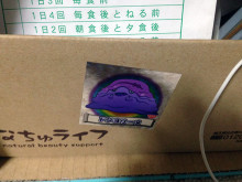 謎多き生物、それは母