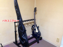 インテリアに買ったはずだったのだが…