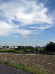 何気ない日常のひとコマ